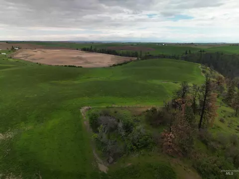 000 Wendt Rd, Kendrick, ID 83537 photo 5