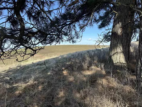 000 Wendt Rd, Kendrick, ID 83537 photo 37