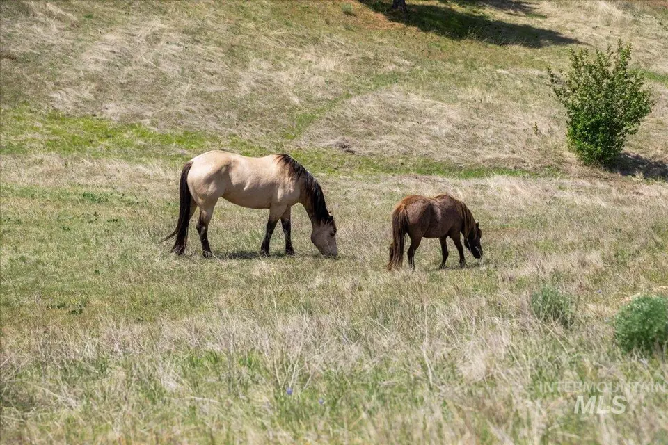  Parcel D Pioneer Rd, Horseshoe Bend, ID 83629 photo 18