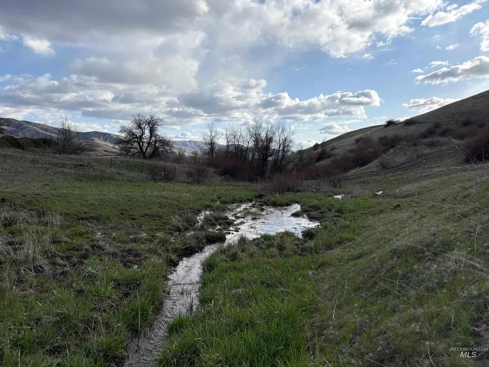  Parcel D Pioneer Rd, Horseshoe Bend, ID 83629 photo 4