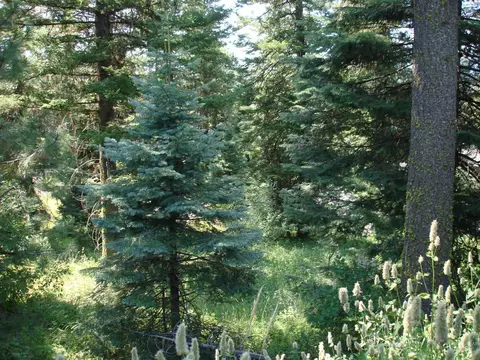 lot68 Aspen Ridge Ln, Mccall, ID 83638