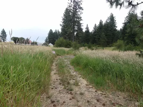 506 Devils Elbow Dr, Lenore, ID 83541