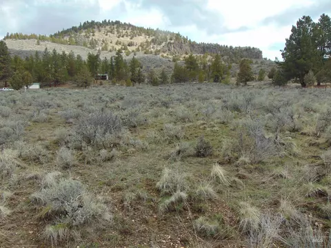 tbd Rattlesnake Ln, Unity, OR 97884