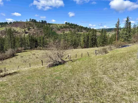 121 Ferguson Rd, Harpster, ID 83553
