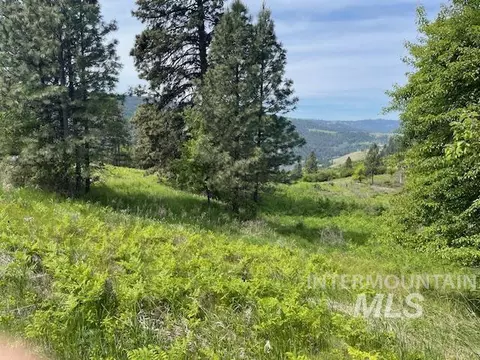 tbd Sunnyside Bench Rd, Lenore, ID 83541