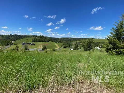 lot25 Shenandoah, Kamiah, ID 83536