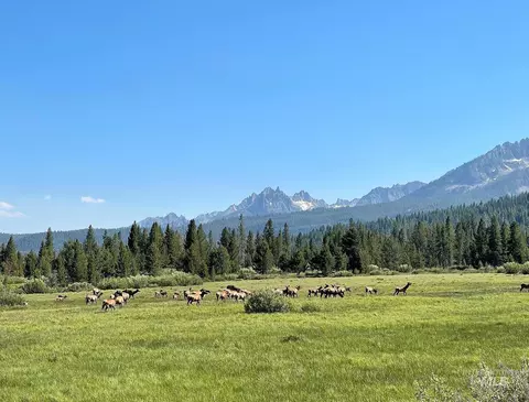 tbd Hwy 21, Stanley, ID 83278 photo 6