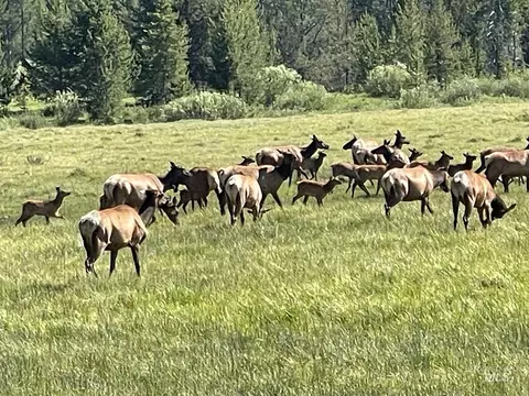 tbd Hwy 21, Stanley, ID 83278 photo 7