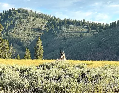 tbd Hwy 21, Stanley, ID 83278 photo 8