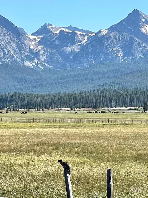 tbd Hwy 21, Stanley, ID 83278 photo 10