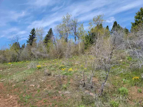 tbd Tbd, Cambridge, ID 83610