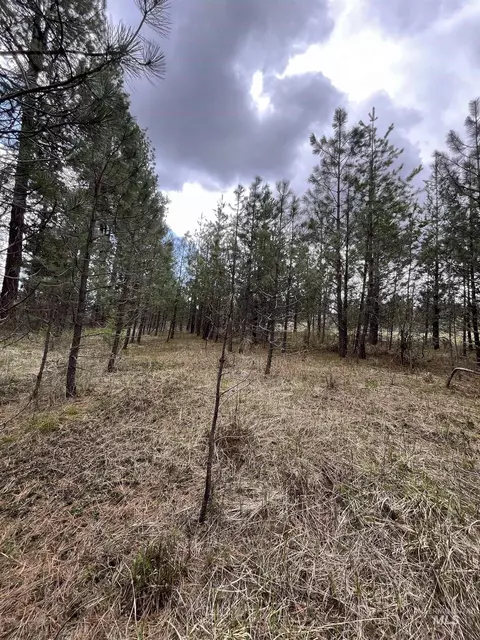 tbd Hwy 3, Deary, ID 83823 photo 11