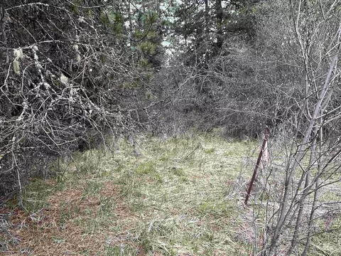 tbd Hwy 3, Deary, ID 83823 photo 9