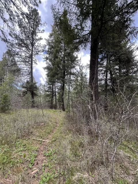 tbd Hwy 3, Deary, ID 83823 photo 5