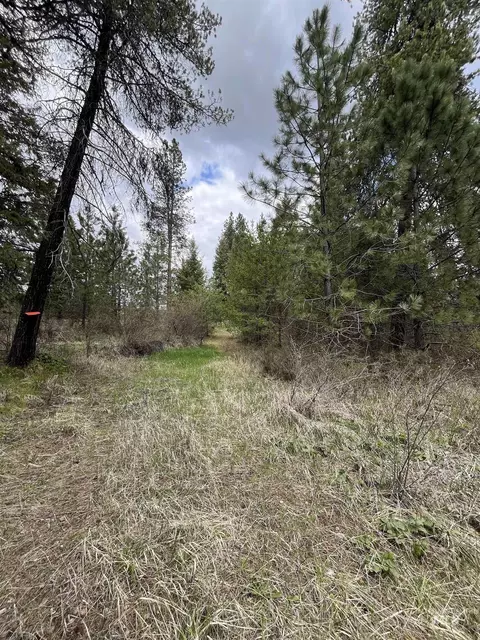 tbd Hwy 3, Deary, ID 83823 photo 6