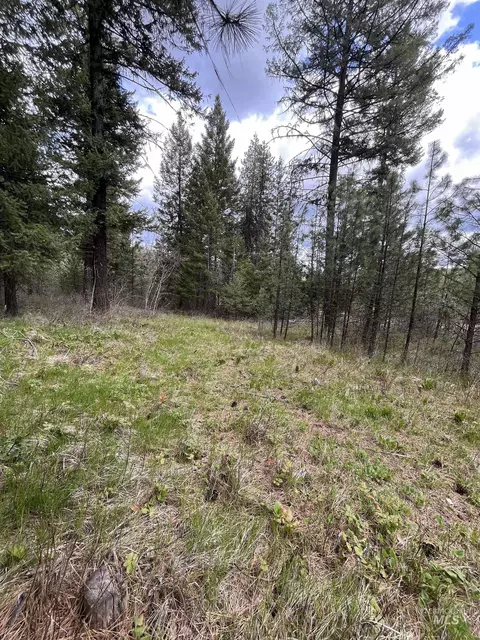 tbd Hwy 3, Deary, ID 83823 photo 7