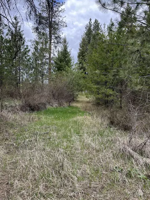 tbd Hwy 3, Deary, ID 83823 photo 8