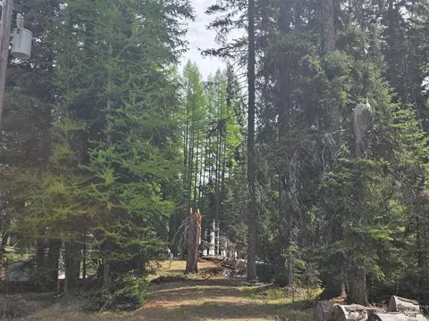 2260 Franks Rd, Donnelly, ID 83615