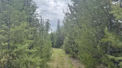 tbd Parcel 8 Bandmill Hts, Orofino, ID 83544