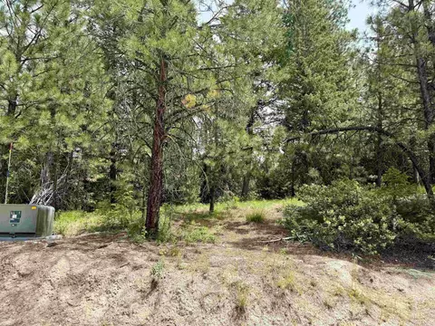 53 Landale Ln, Cascade, ID 83711 photo 1