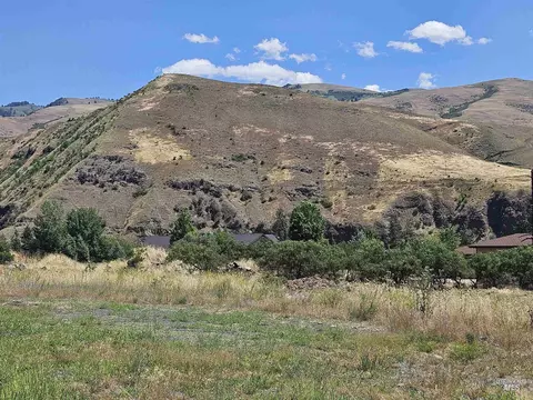 24 Mossy Point Cir, White Bird, ID 83554