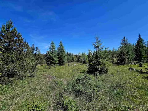 0 Timberline Heights Parcel 5, Weippe, ID 83553 photo 8