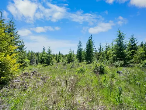 0 Timberline Heights Parcel 5, Weippe, ID 83553 photo 12