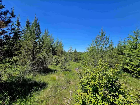 0 Timberline Heights Parcel 5, Weippe, ID 83553 photo 4