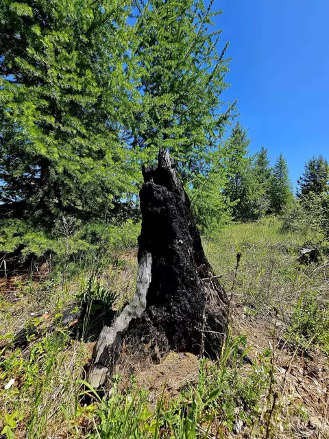0 Timberline Heights Parcel 5, Weippe, ID 83553 photo 10