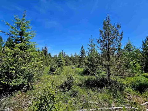 0 Timberline Heights Parcel 5, Weippe, ID 83553 photo 6
