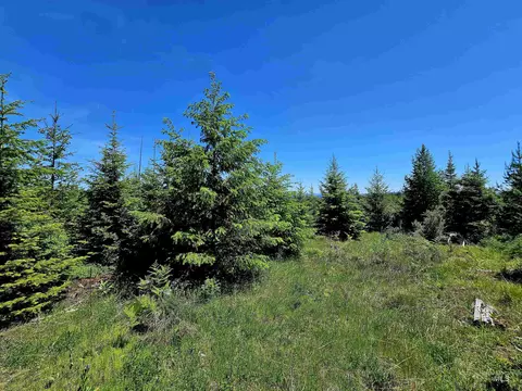 0 Timberline Heights Parcel 5, Weippe, ID 83553 photo 11