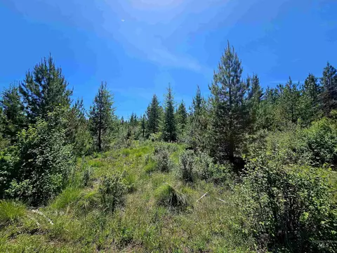0 Timberline Heights Parcel 5, Weippe, ID 83553 photo 5