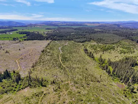 0 Timberline Heights Parcel 2, Weippe, ID 83553 photo 11