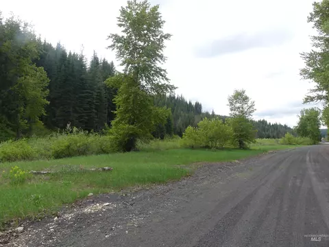256 Beaver Ln, Pierce, ID 83546 photo 1