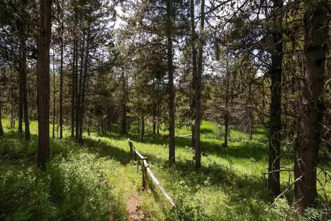 Exterior - 97 Coy Rd, Mccall, ID 83638 photo 7 of 8