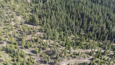 tbd 2 Warm Lake Rd, Cascade, ID 83611 photo 6