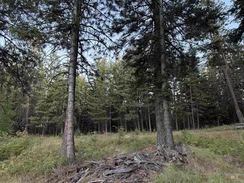 tbd Harlow Ridge Rd - Cloverland Estates 26, Asotin, WA 99402