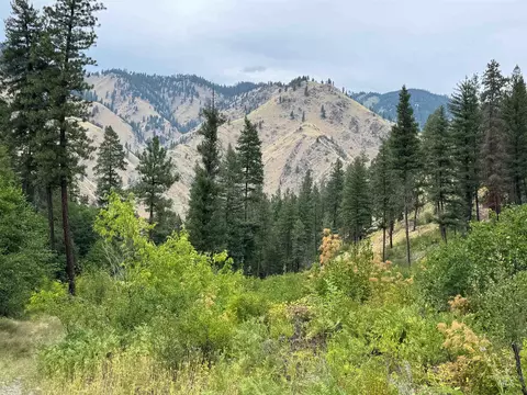 tbd Nf Road 310, Riggins, ID 83549