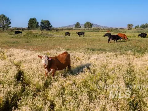 Other - 6891 W 2000 S, Rexburg, ID 83440 photo 27 of 42