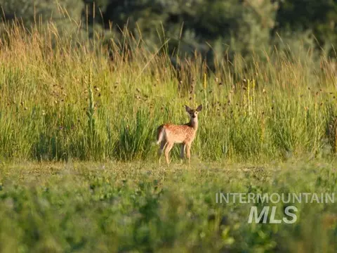 Other - 6891 W 2000 S, Rexburg, ID 83440 photo 13 of 42