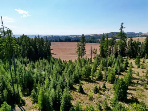tbd Parcel 1 Peaceful Valley Rd, Kamiah, ID 83536