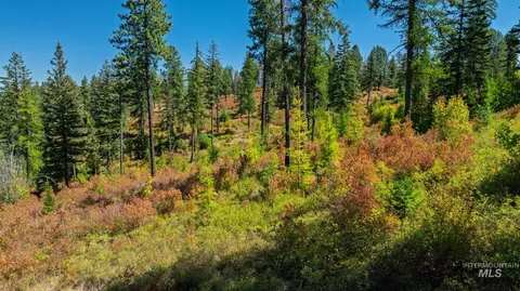 Nka O'reilly Road, Princeton, ID 83857