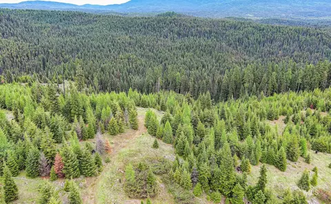 tbd Parcel 9 Tree Farm Trails Rd, Elk City, ID 83525