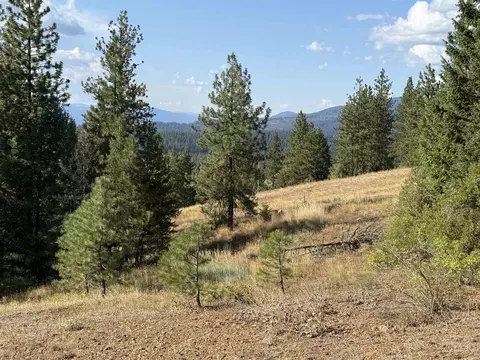 lot18 Harrington Pl, Mccall, ID 83638