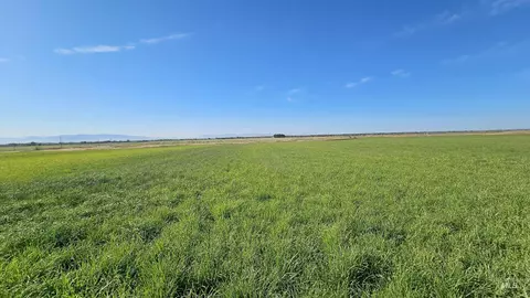 Other - 1655 W 1000 S, Pingree, ID 83262 photo 1 of 5