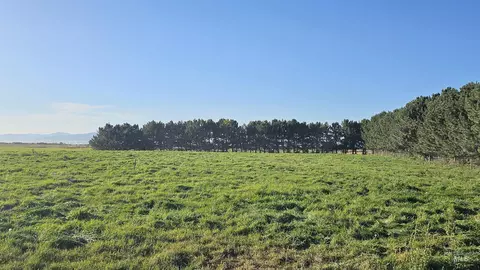 Exterior - 1655 W 1000 S, Pingree, ID 83262 photo 10 of 10