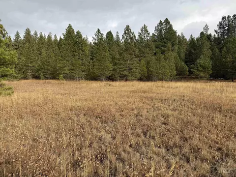 tbd S Samson Tr, Mccall, ID 83638 photo 1