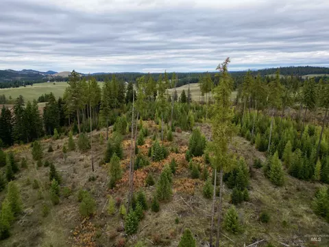 tbd Parcel 2 Peaceful Valley Rd, Kamiah, ID 83536