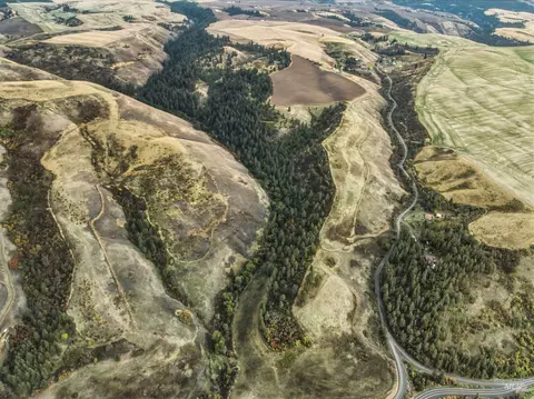 tbd Kettenbach Grade, Culdesac, ID 83534 photo 7