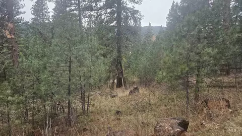 lot4 Boise Holcomb #3, Boise, ID 83716